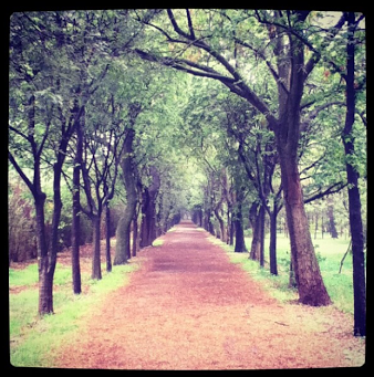 Screen Shot 2014-02-11 at 12.20.29 PM