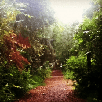 Screen Shot 2014-02-11 at 12.20.40 PM