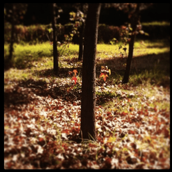 Screen Shot 2014-02-11 at 12.27.23 PM