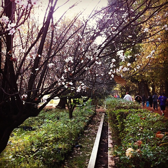 Screen Shot 2014-02-11 at 12.27.35 PM