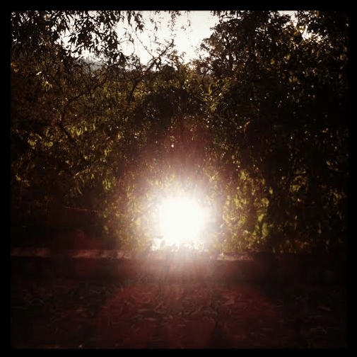 Screen Shot 2014-03-04 at 10.59.32 AM