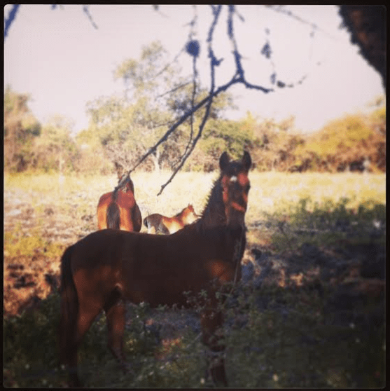 Screen Shot 2014-03-04 at 10.59.59 AM