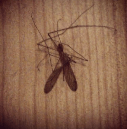 Screen Shot 2014-06-24 at 7.21.37 PM