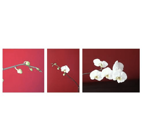 Screen Shot 2014-06-24 at 7.24.03 PM