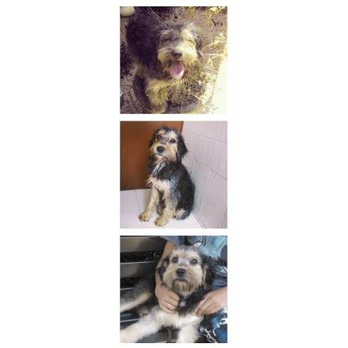 Screen Shot 2014-06-24 at 7.24.20 PM