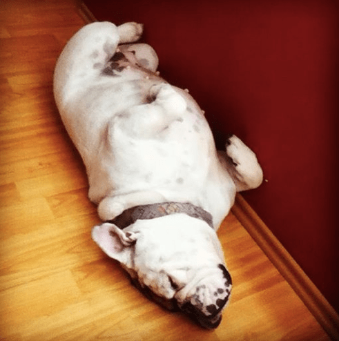 Screen Shot 2014-07-27 at 1.10.44 PM