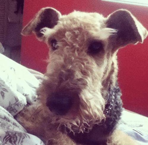 Screen Shot 2014-07-27 at 1.11.51 PM