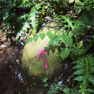 Screen Shot 2014-09-23 at 10.32.43 AM