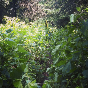 Screen Shot 2014-09-23 at 10.34.31 AM