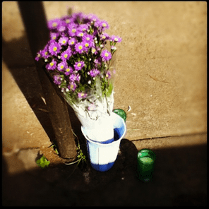 Screen Shot 2017-06-15 at 9.34.09 PM